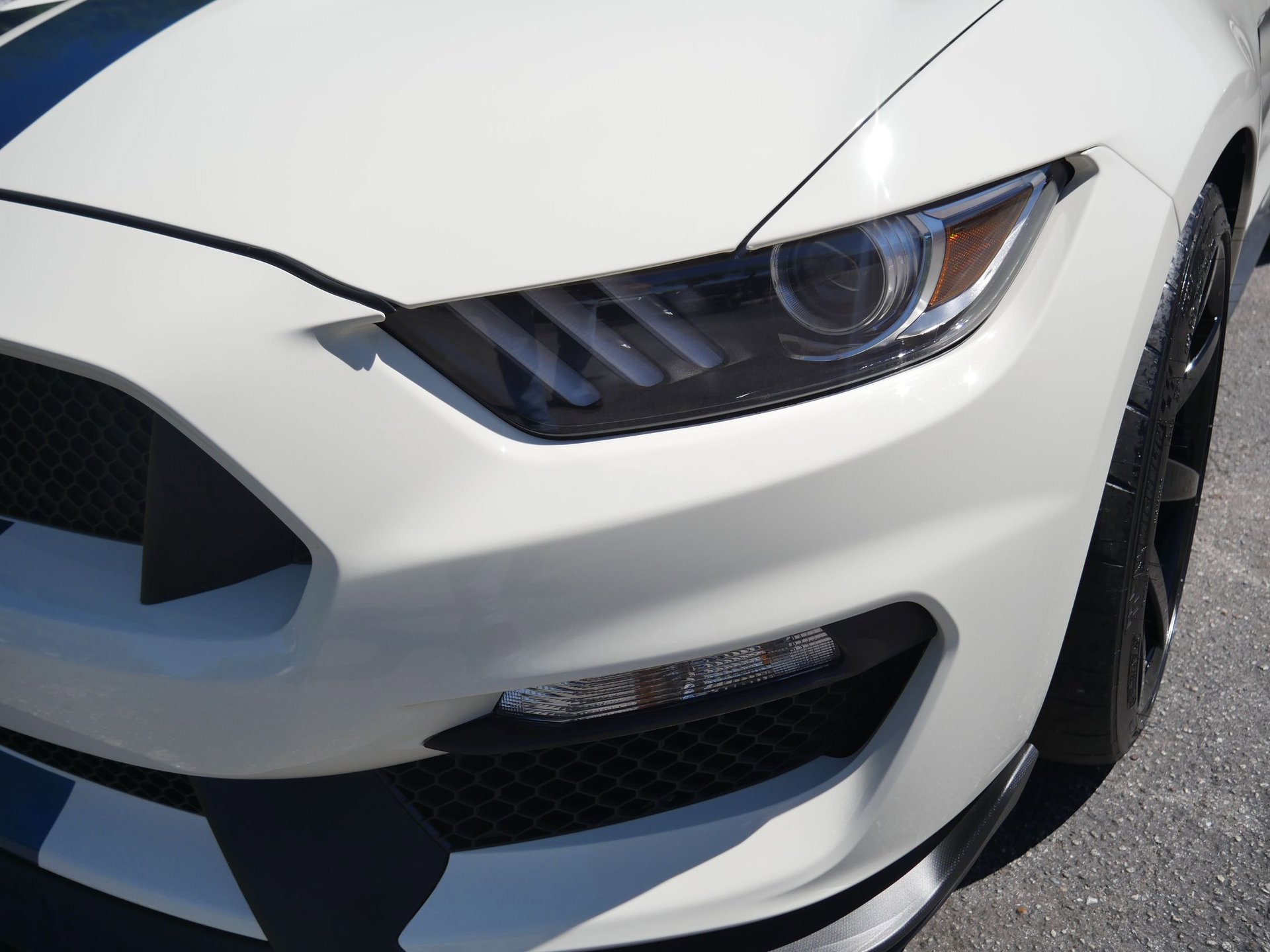 Used 2020 Ford Mustang Shelby GT350R w/ GT350R Equipment Group 920A RWD image 39