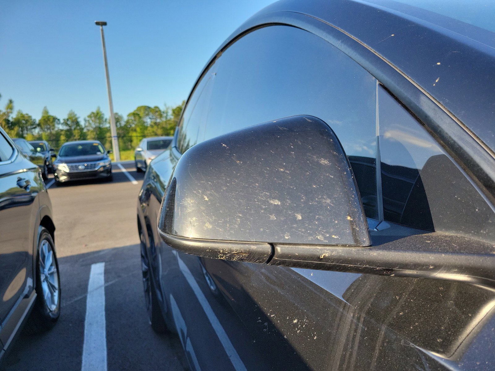 Used 2021 Tesla Model Y Performance AWD/4WD image 7