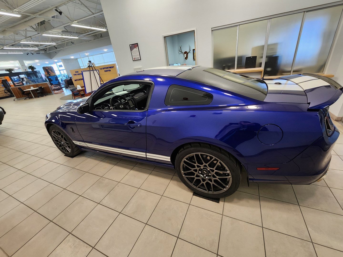 Used 2014 Ford Mustang Shelby GT500 w/ Equipment Group 821A RWD image 2