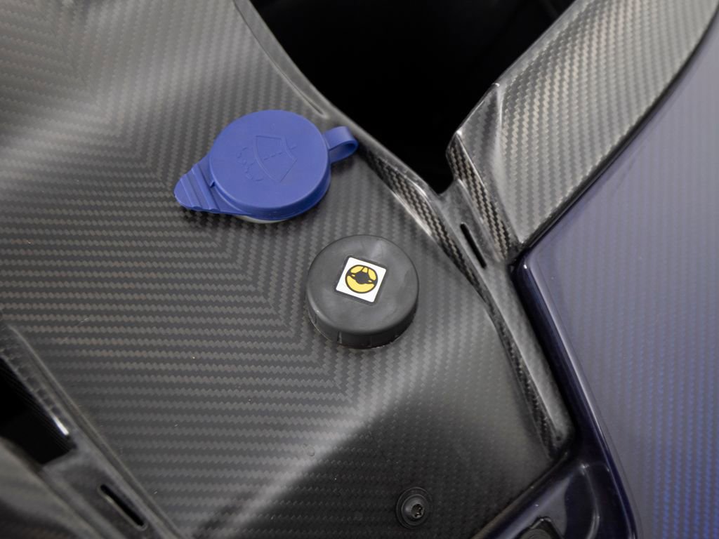 Used 2019 McLaren Senna image 78