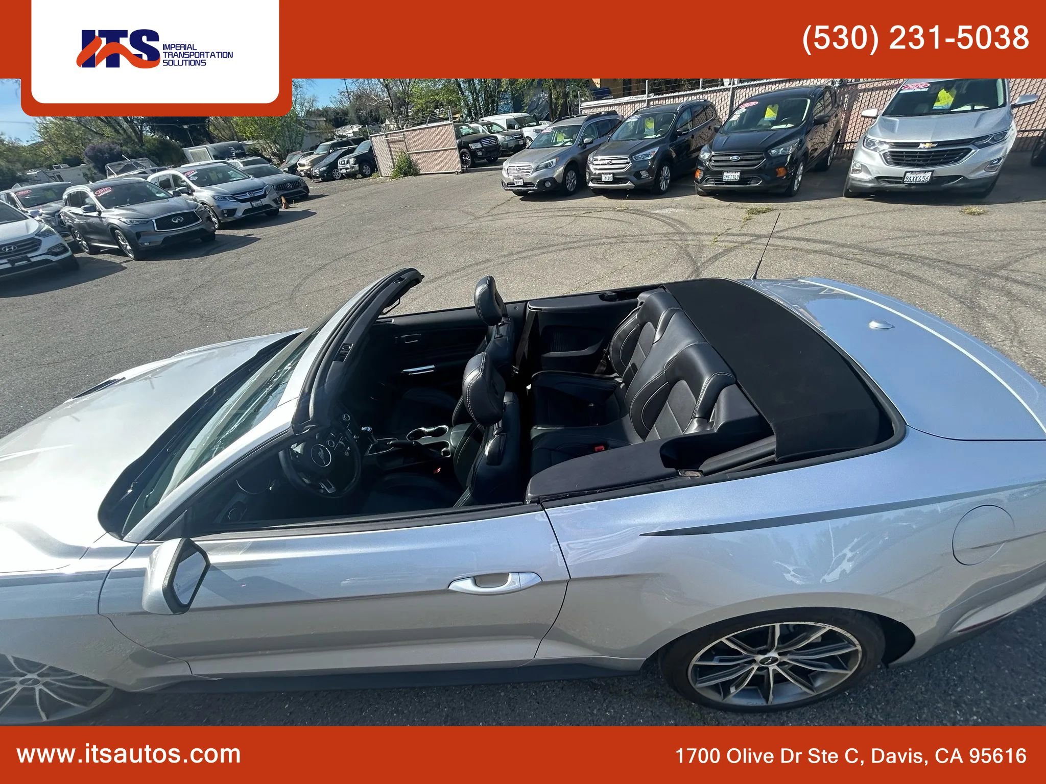 Used 2019 Ford Mustang Premium w/ Equipment Group 201A image 11