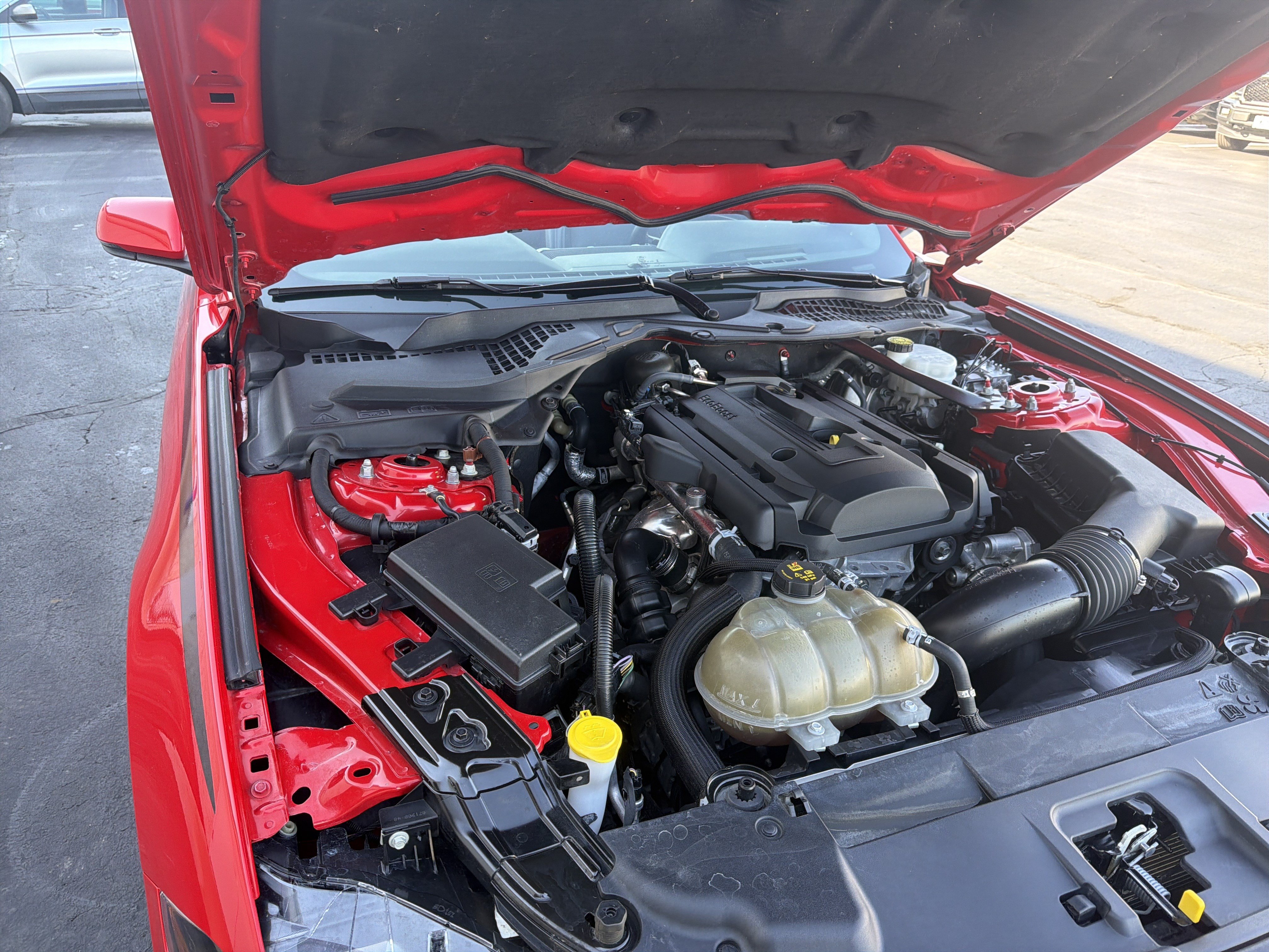 Used 2019 Ford Mustang Premium w/ Equipment Group 201A RWD image 56