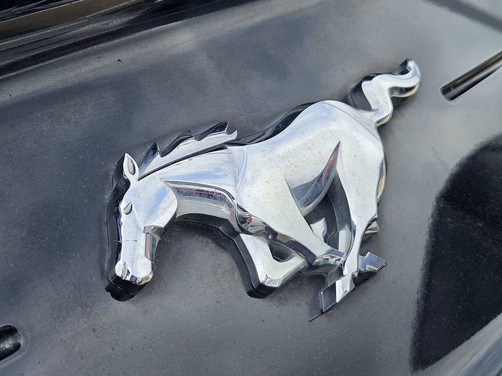 Used 2020 Ford Mustang Coupe w/ Equipment Group 101A RWD image 14