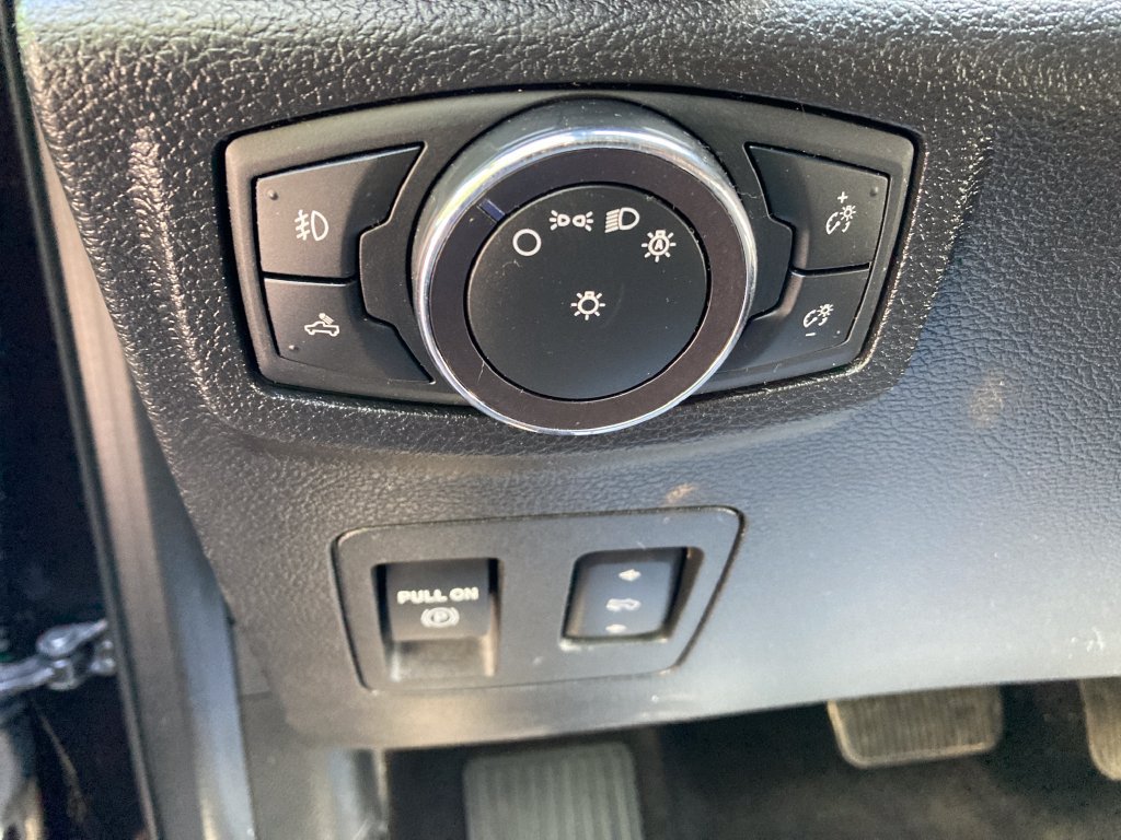 Used 2019 Ford F150 XLT w/ Equipment Group 302A Luxury AWD/4WD image 41