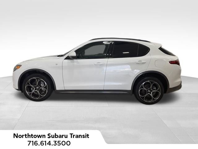 Used 2023 Alfa Romeo Stelvio Ti image 2