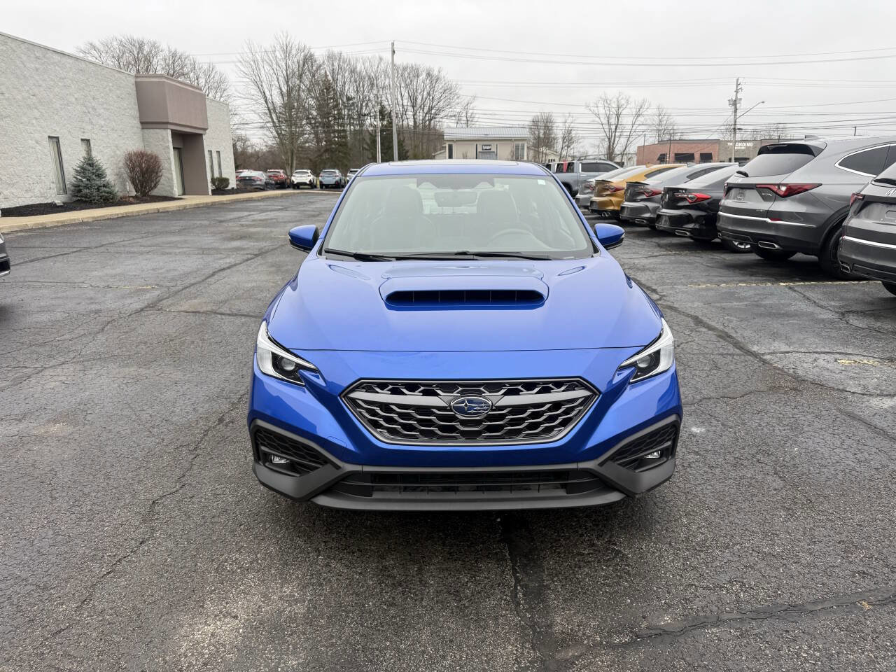 Used 2023 Subaru WRX Limited image 3