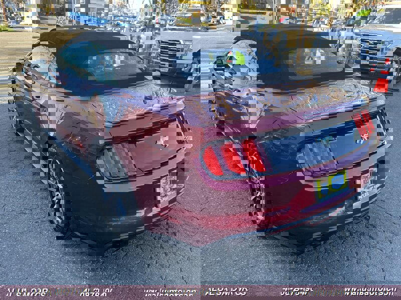 Used 2017 Ford Mustang Premium image 7