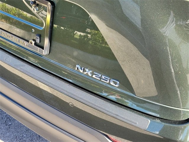 Used 2024 Lexus NX 250 250 Premium image 7