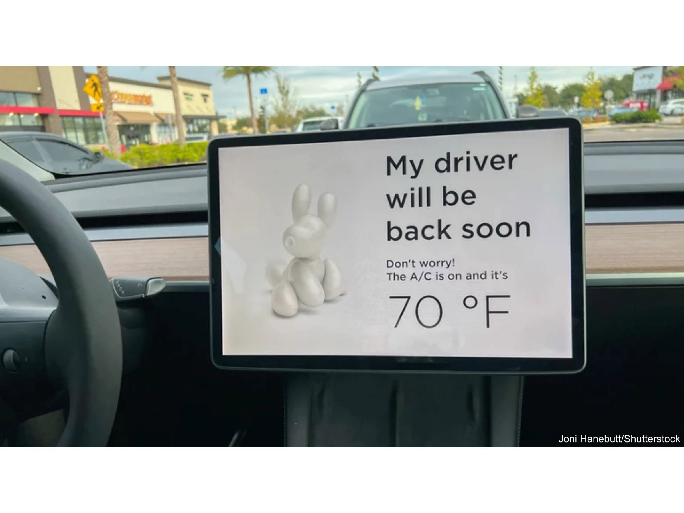 Used 2019 Tesla Model 3 Standard Range RWD image 18