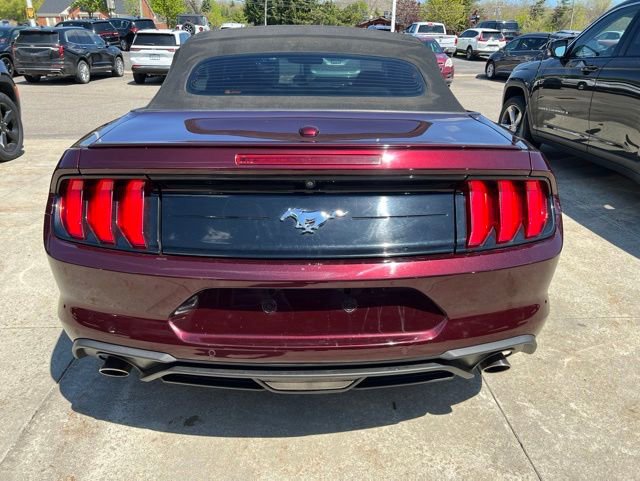 Used 2018 Ford Mustang Premium w/ Equipment Group 201A RWD image 5
