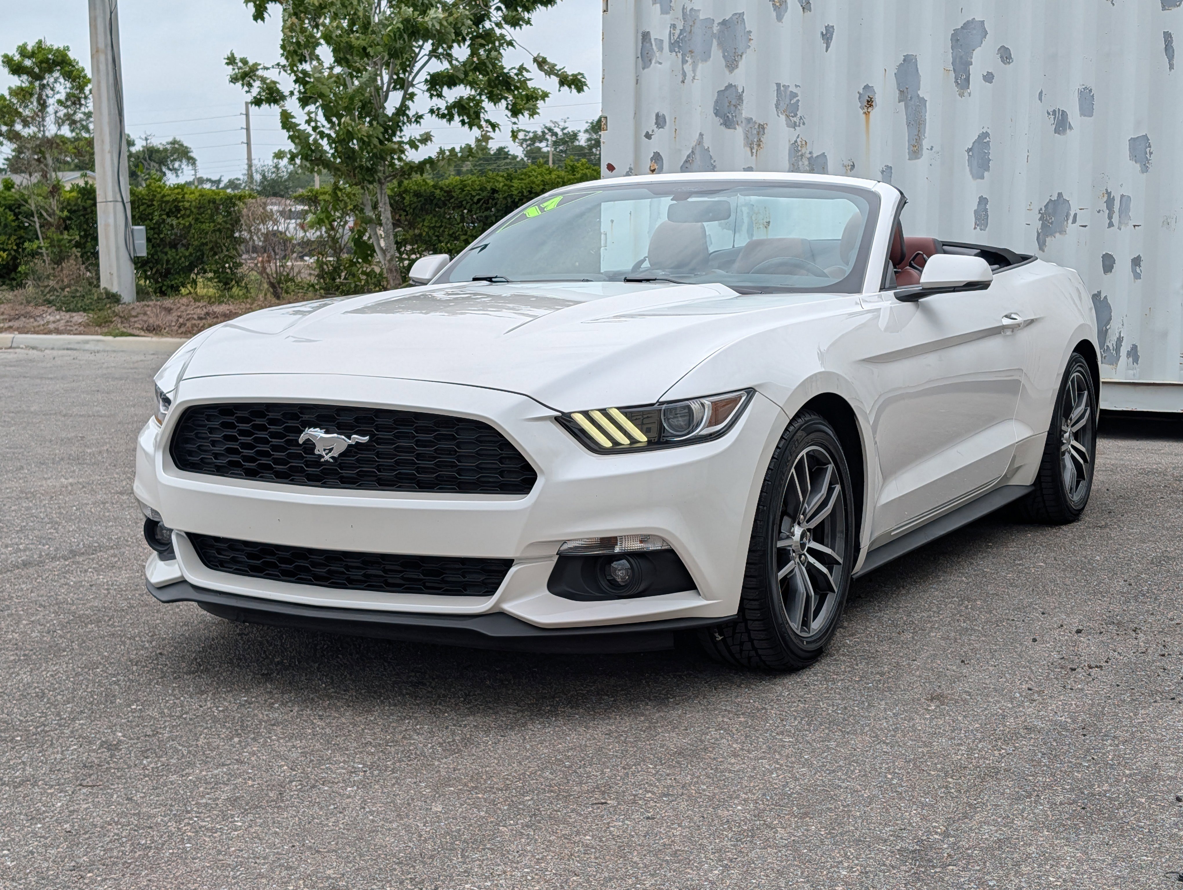Used 2017 Ford Mustang Premium w/ Equipment Group 201A RWD image 7