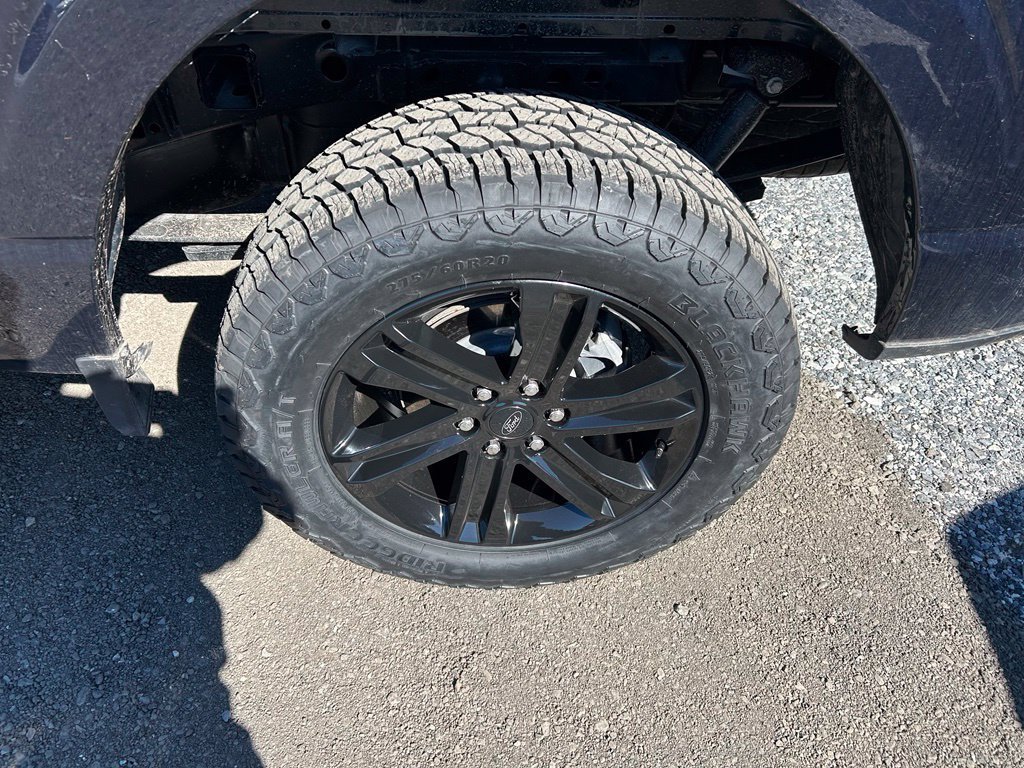 Used 2026 Ford F150 XLT w/ Equipment Group 302A MID AWD/4WD image 6