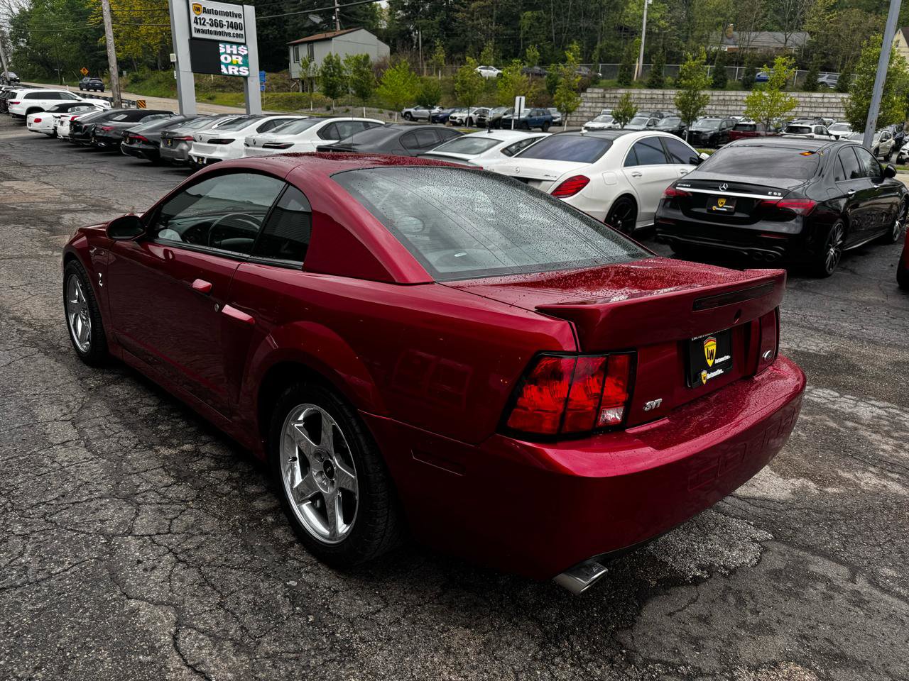Used 2004 Ford Mustang Cobra RWD image 6