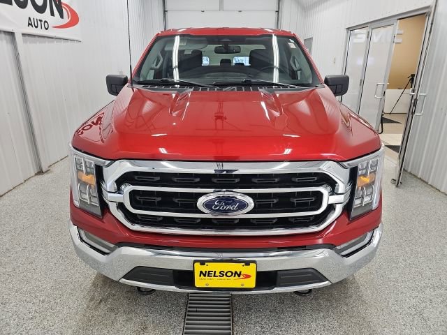 Used 2023 Ford F150 XLT w/ Equipment Group 302A High image 5