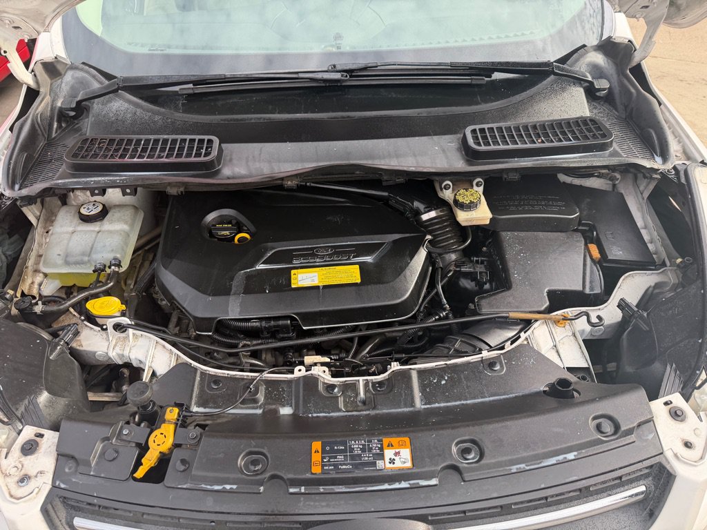 Used 2013 Ford Escape SE FWD image 28