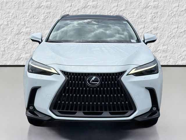New 2026 Lexus NX 350 AWD w/ Cold Area Package image 8