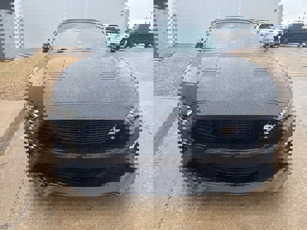 Used 2019 Ford Mustang GT Premium w/ Equipment Group 401A RWD image 2