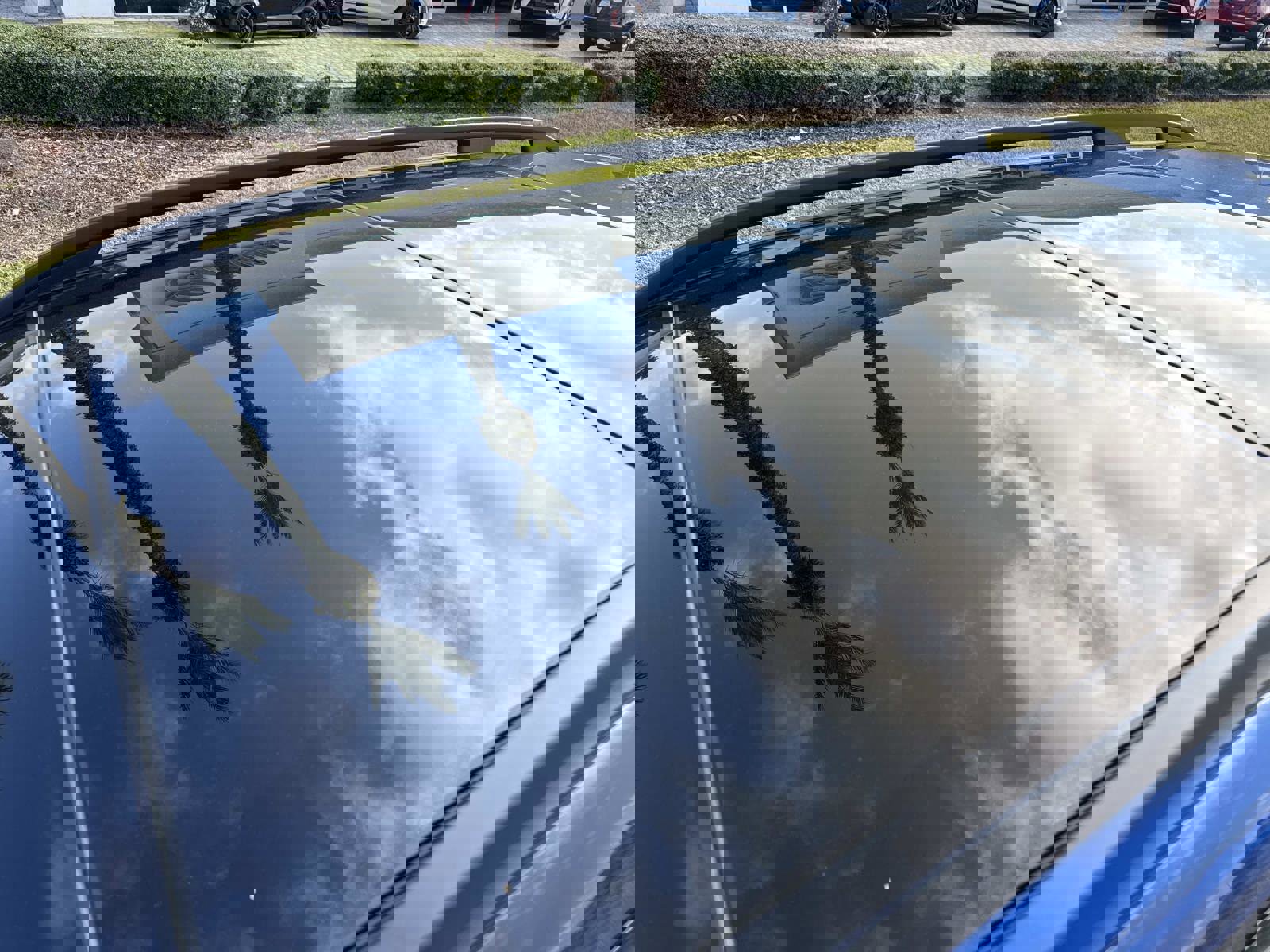 Used 2025 Mercedes-Benz GLB 250 image 11