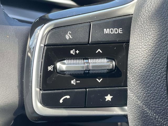 New 2026 Kia Carnival image 30