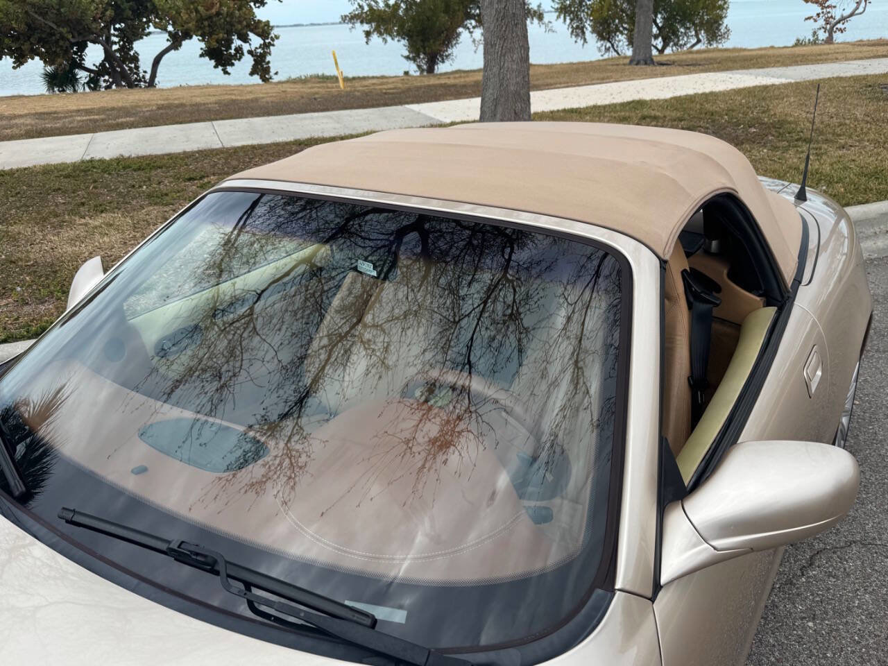 Used 2002 Maserati Spyder Cambiocorsa image 18