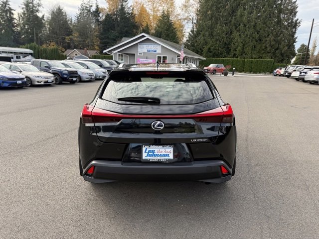 Used 2021 Lexus UX 250h w/ Luxury Package image 7