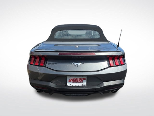 Used 2025 Ford Mustang Premium RWD image 5