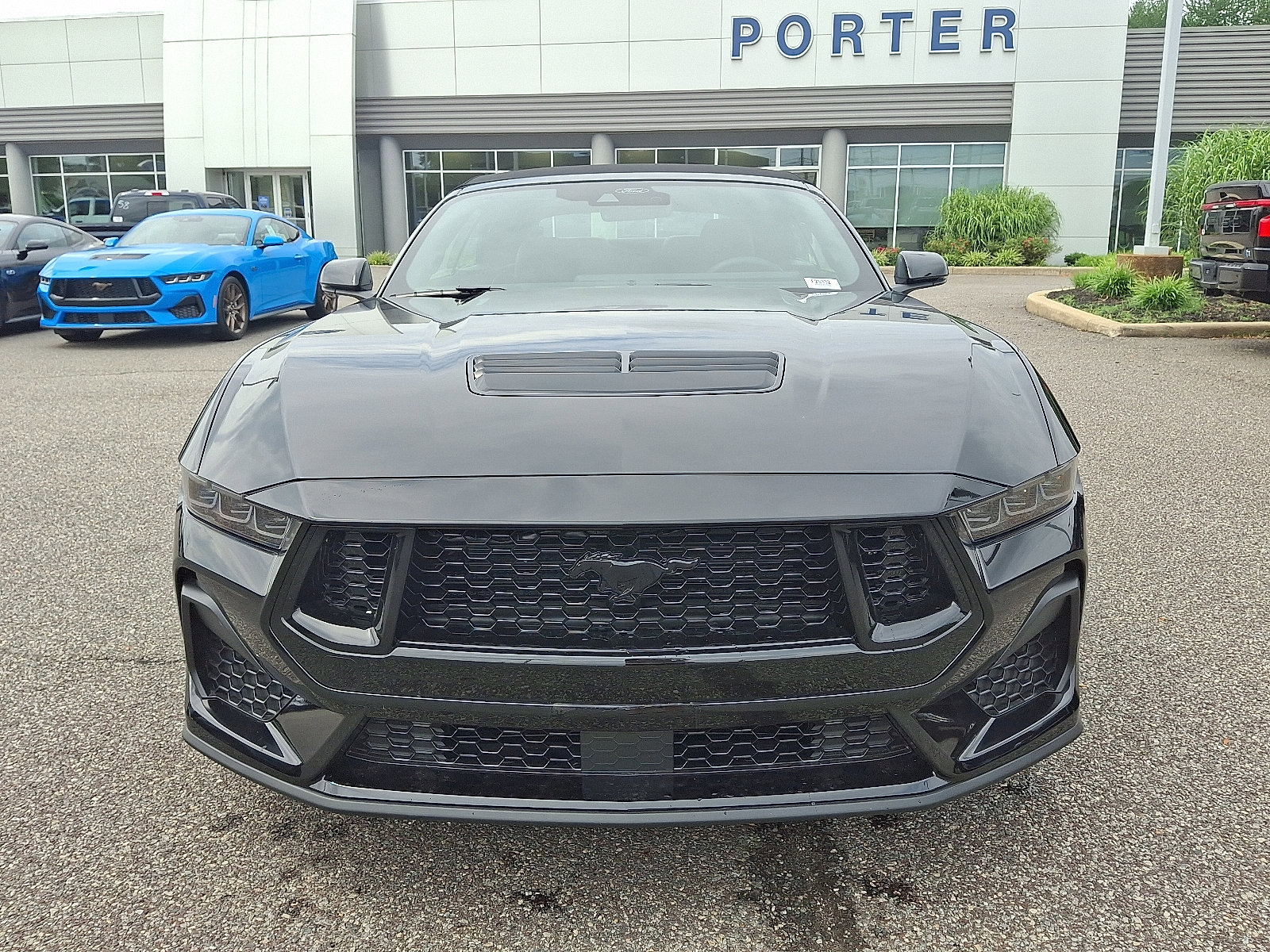New 2025 Ford Mustang GT Premium image 9