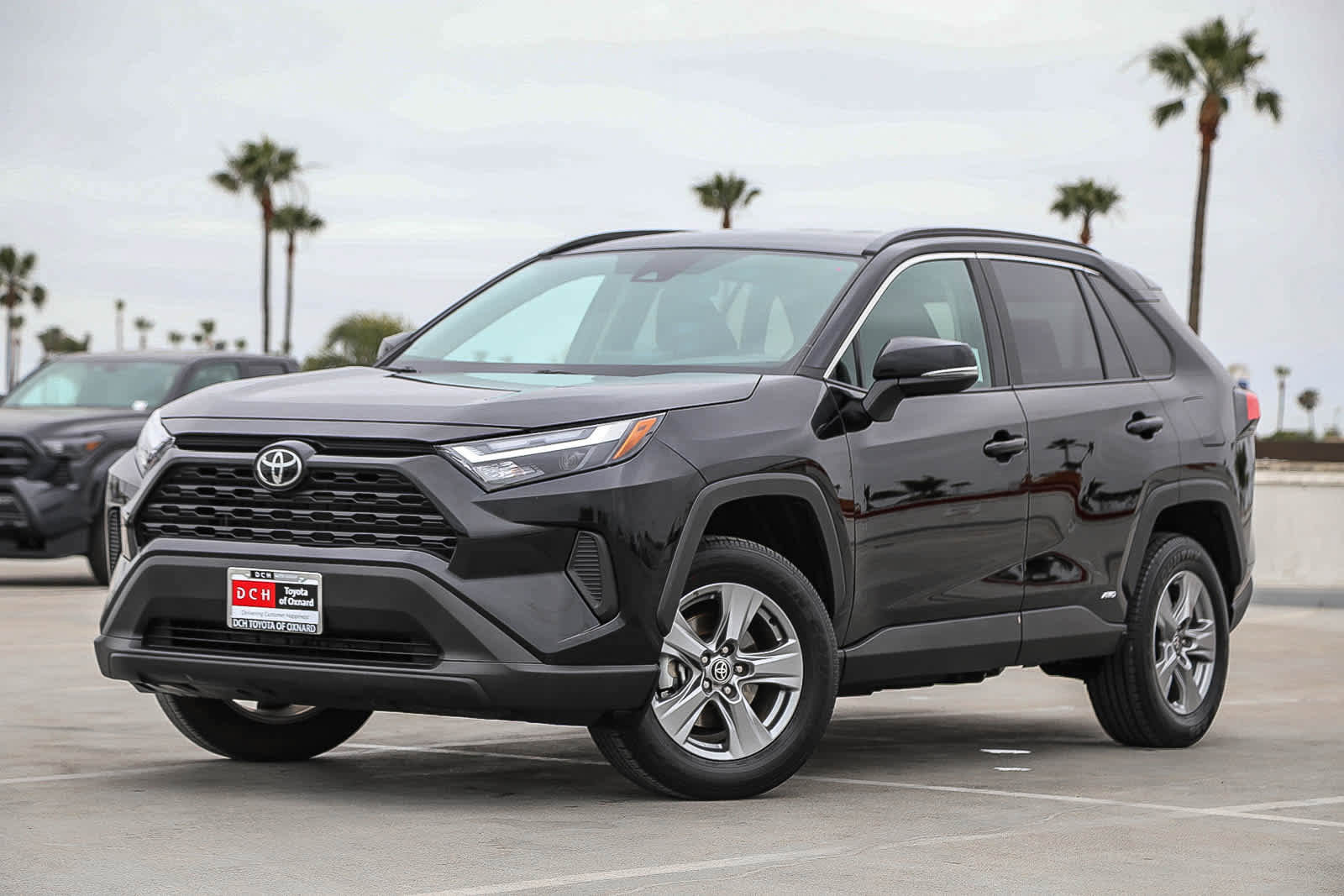 Certified 2025 Toyota RAV4 XLE AWD/4WD video 1
