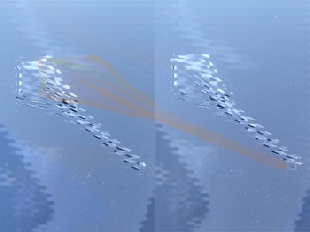 Used 2022 Chevrolet Corvette Stingray Coupe w/ Z51 Performance Package image 14