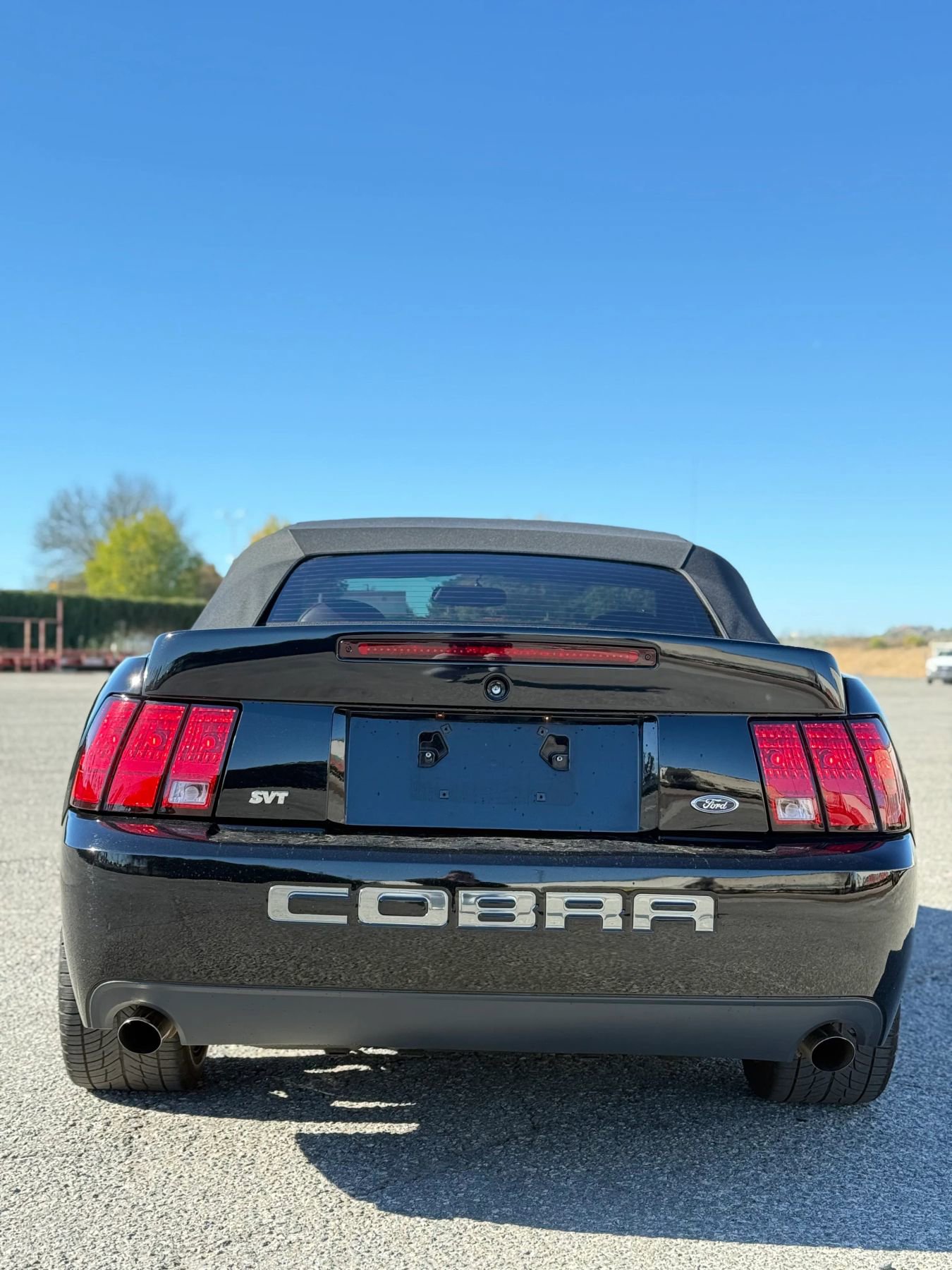 Used 2004 Ford Mustang Cobra image 7
