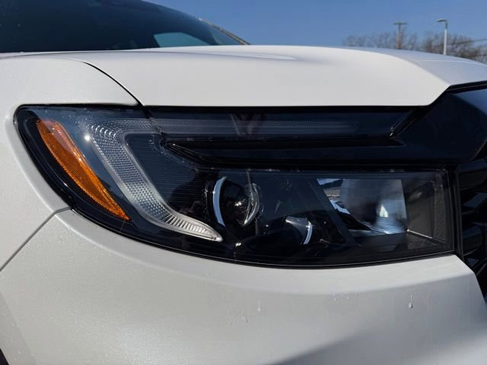 Used 2025 Honda Ridgeline Black Edition image 10
