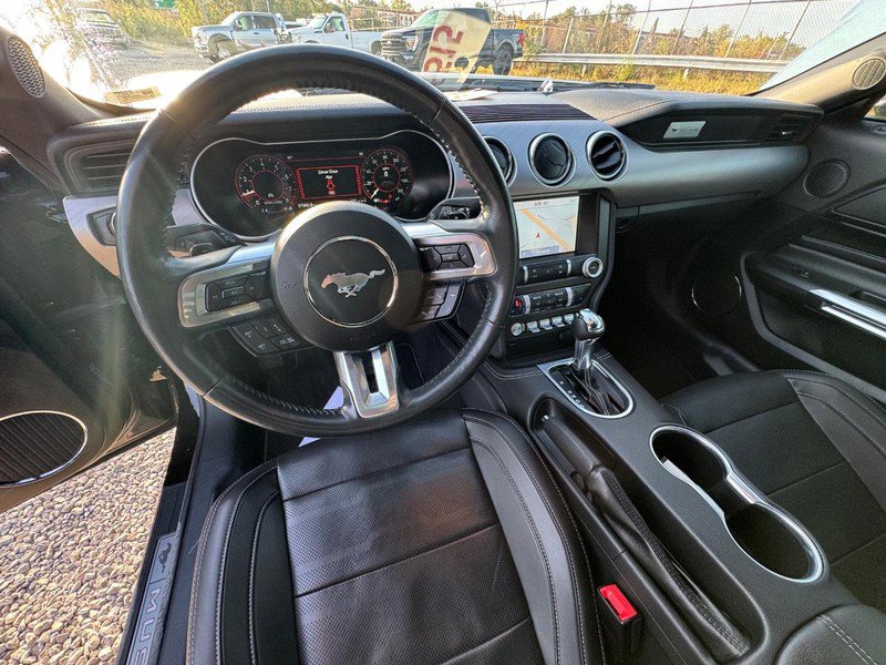 Used 2023 Ford Mustang Premium w/ Equipment Group 201A image 14