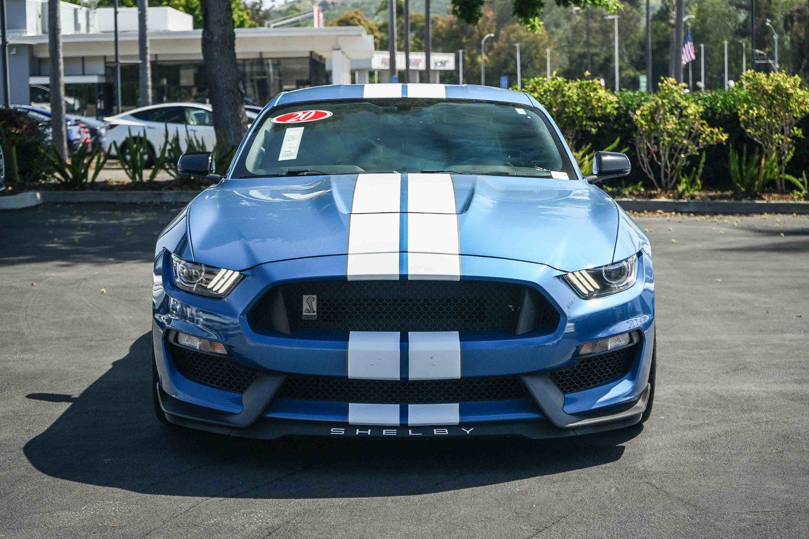 Used 2020 Ford Mustang Shelby GT350 RWD image 2