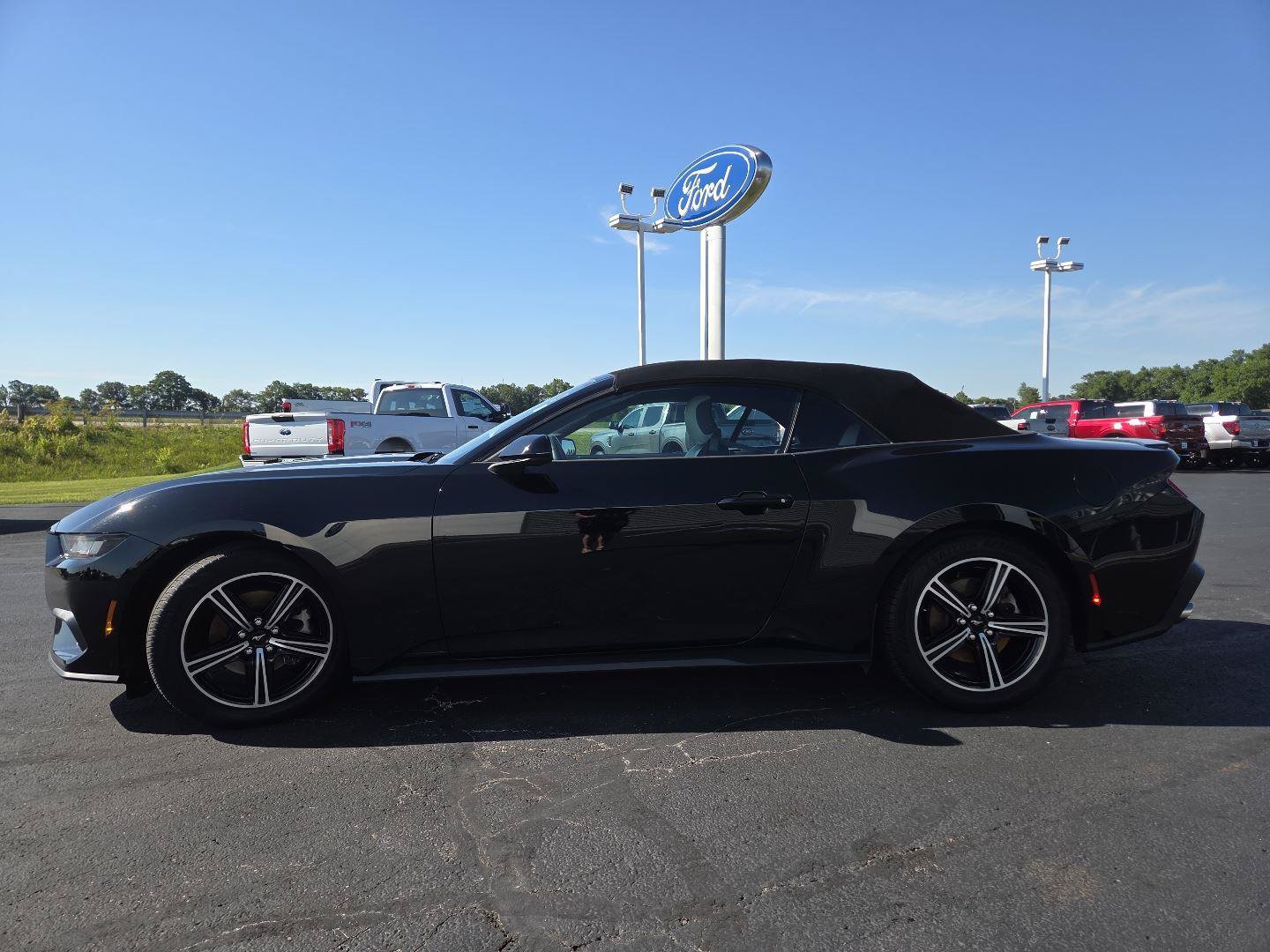 Used 2024 Ford Mustang Premium RWD image 15