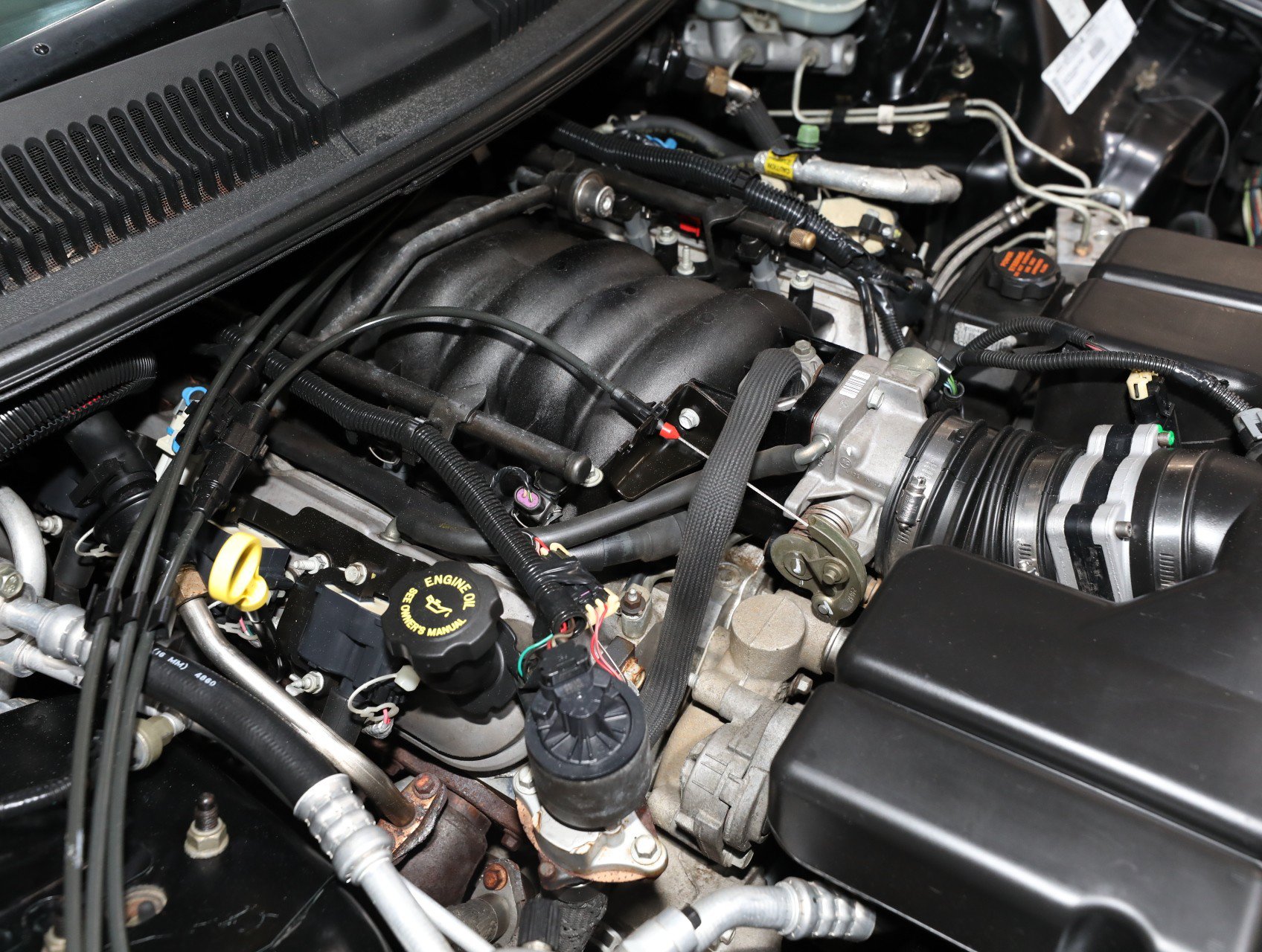 Used 1999 Pontiac Firebird Trans Am RWD image 85