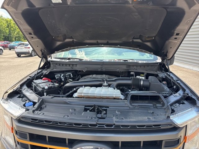 Used 2022 Ford F150 Tremor image 39