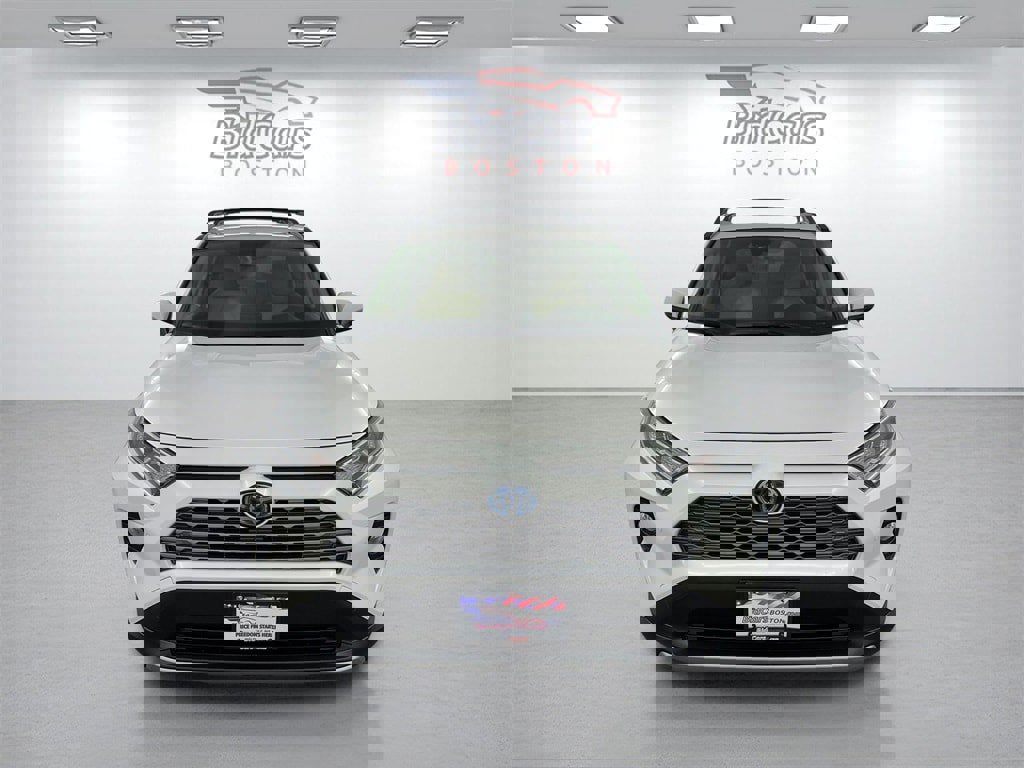 Used 2019 Toyota RAV4 Limited image 2