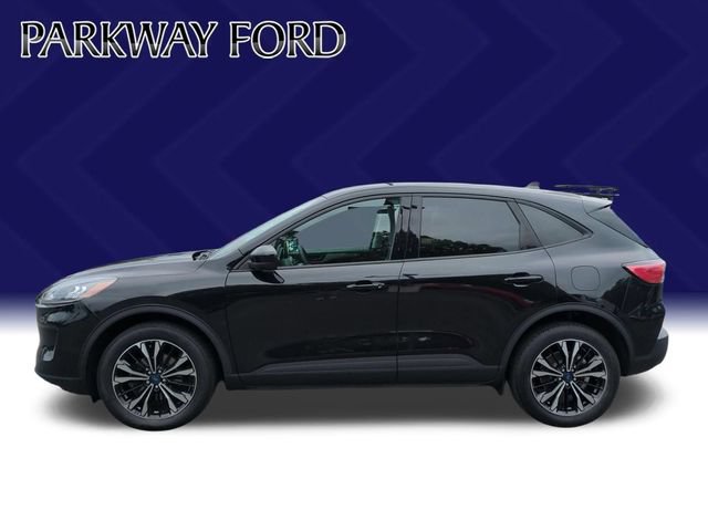 Used 2022 Ford Escape SE w/ SE Sport Appearance Package AWD/4WD image 2