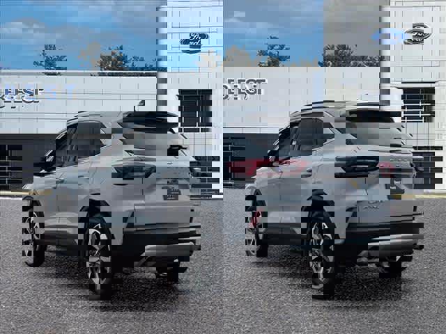 Used 2025 Ford Escape Platinum image 6