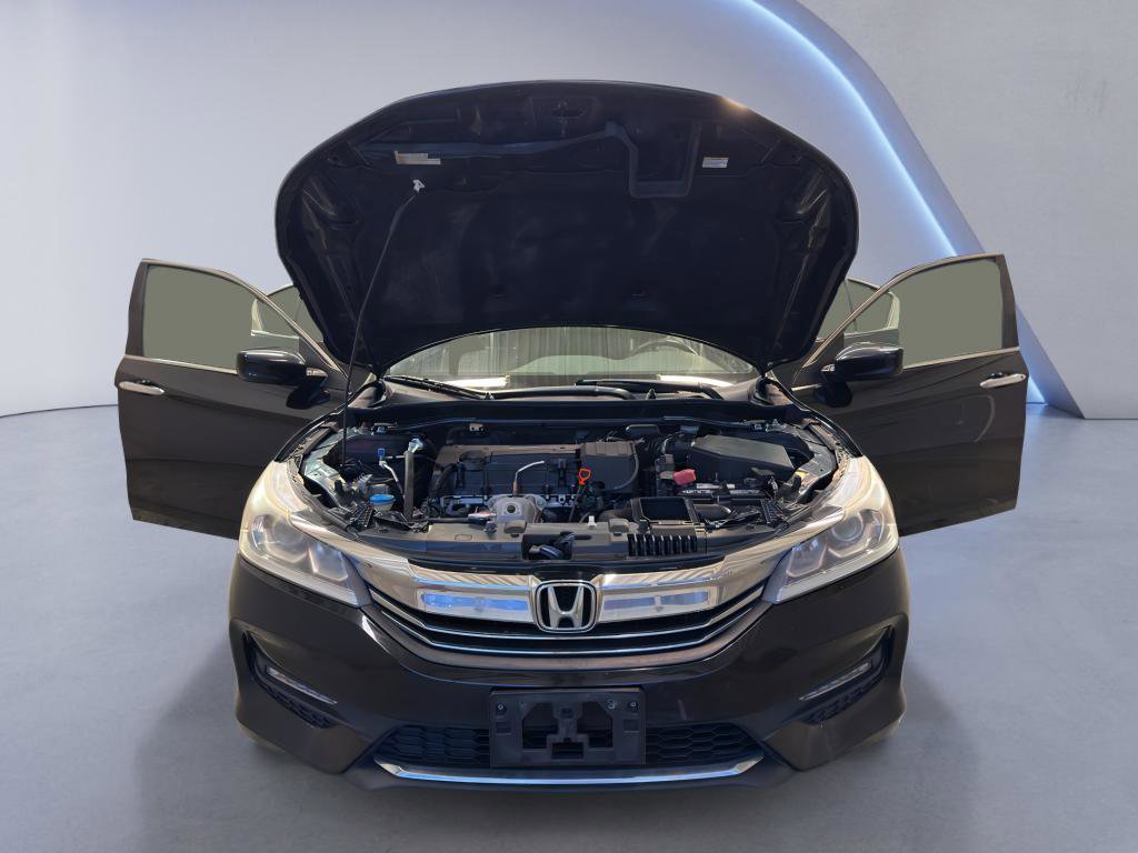 Used 2017 Honda Accord Sport Special Edition image 8