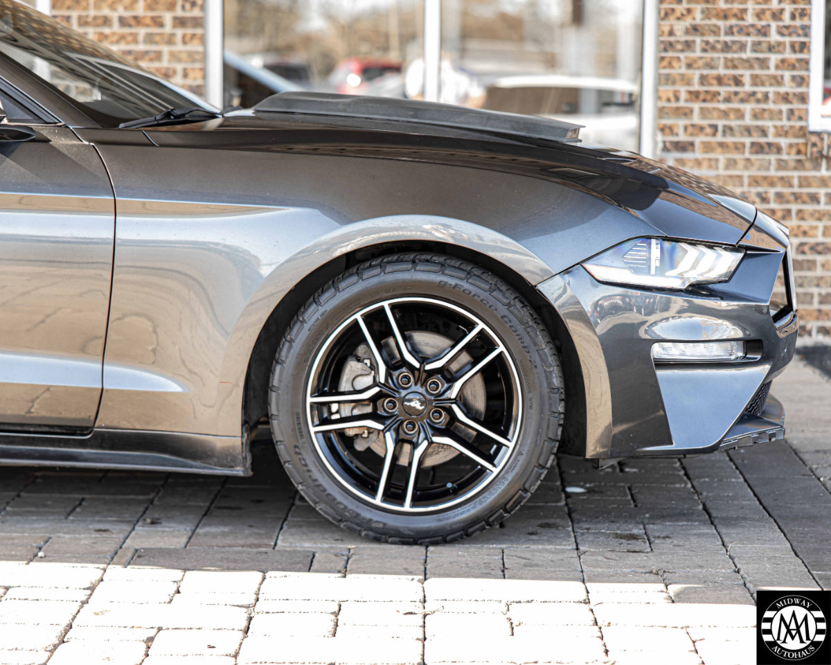 Used 2018 Ford Mustang Premium w/ Equipment Group 201A image 10