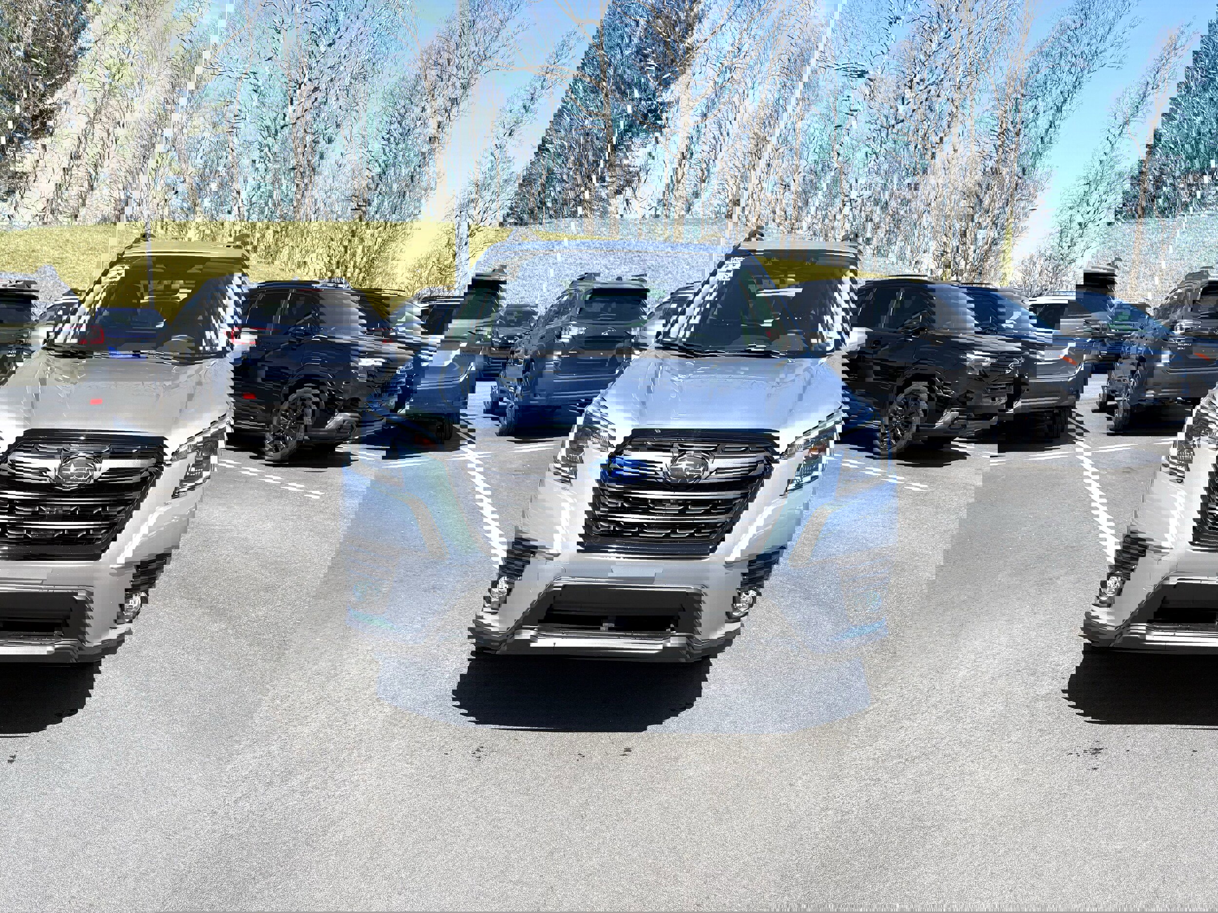 Certified 2023 Subaru Forester Limited image 2