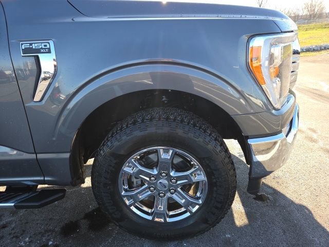 Certified 2023 Ford F150 XLT w/ Equipment Group 302A High image 4
