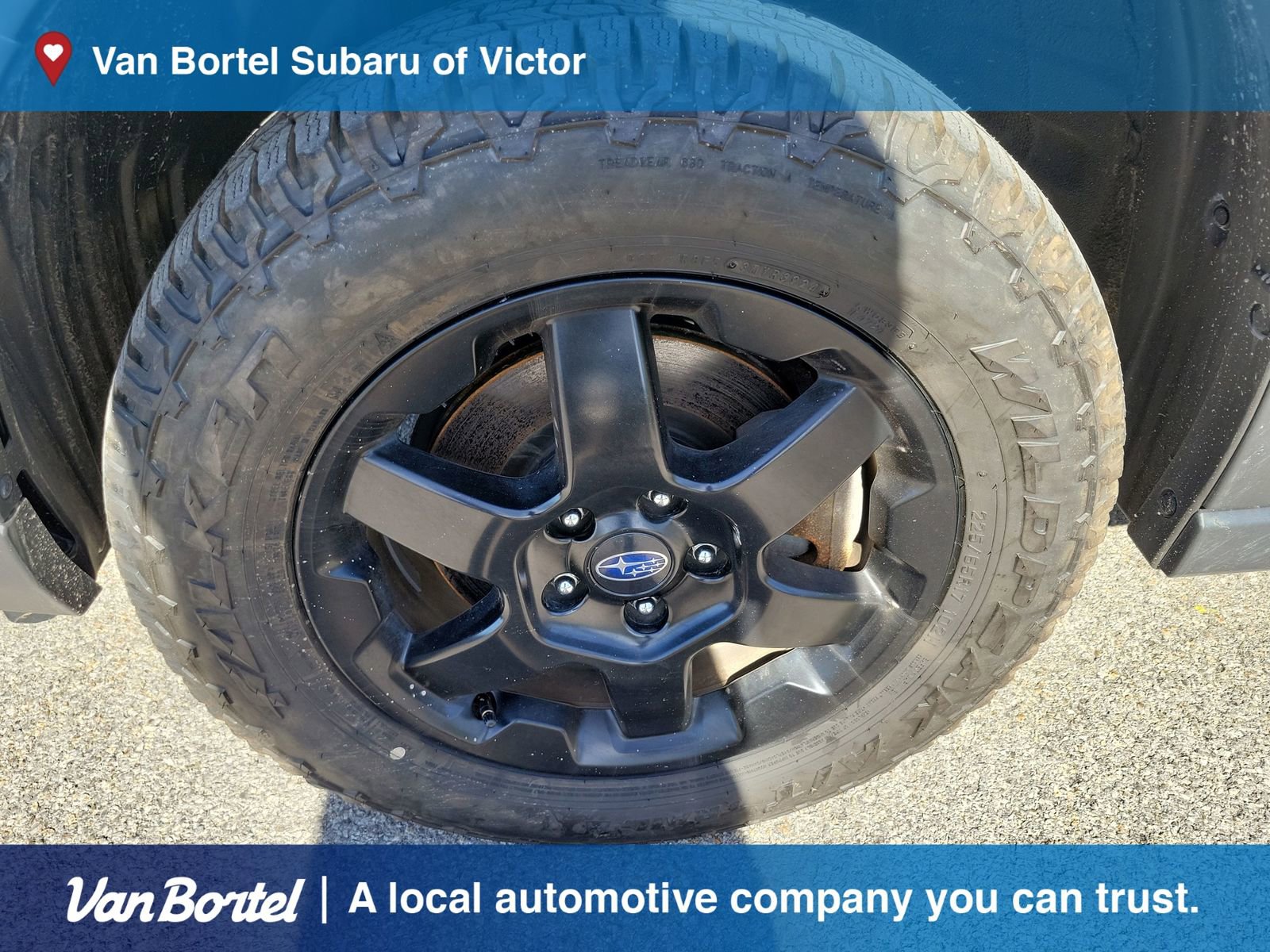 Used 2022 Subaru Outback Wilderness AWD/4WD image 10