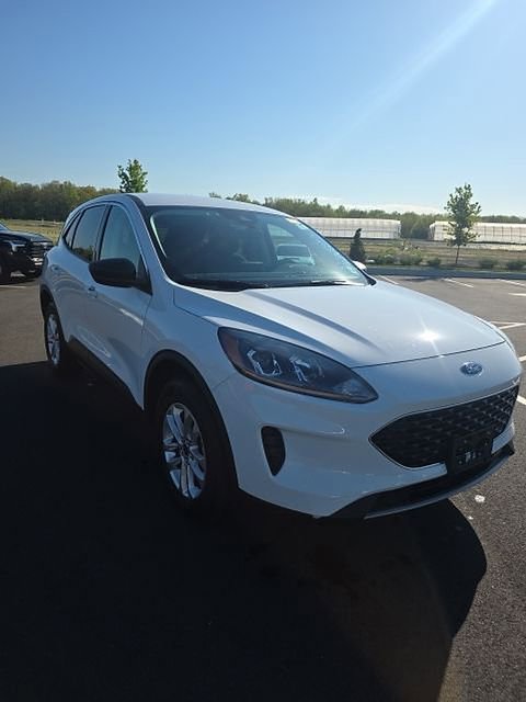 Used 2022 Ford Escape SE AWD/4WD image 3