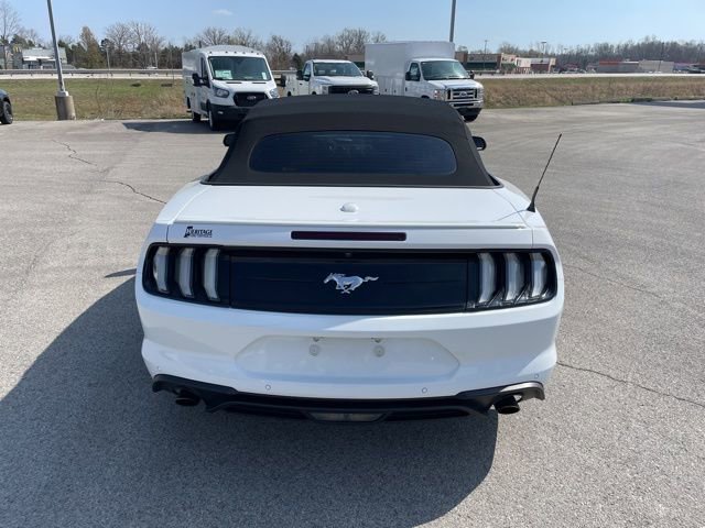 Used 2021 Ford Mustang Premium image 11