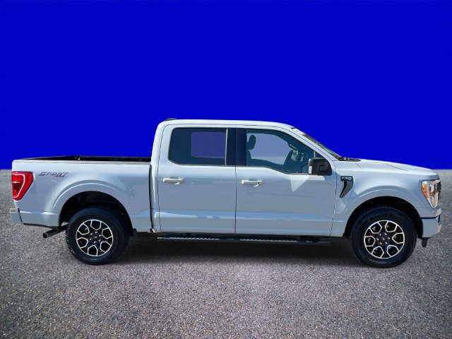 Used 2023 Ford F150 XLT w/ Equipment Group 302A High AWD/4WD image 2
