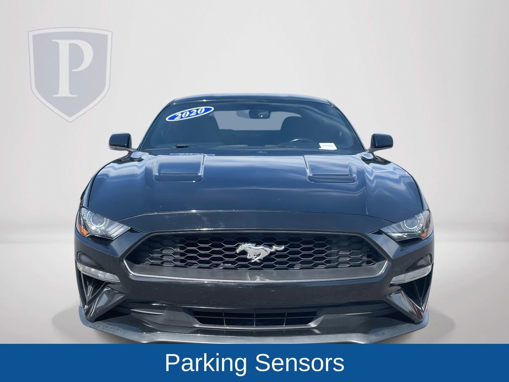 Used 2020 Ford Mustang EcoBoost w/ Equipment Group 101A image 3
