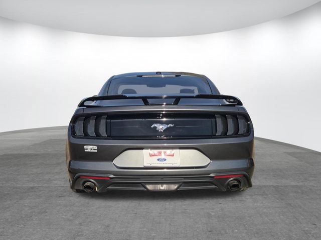 Used 2019 Ford Mustang EcoBoost image 5