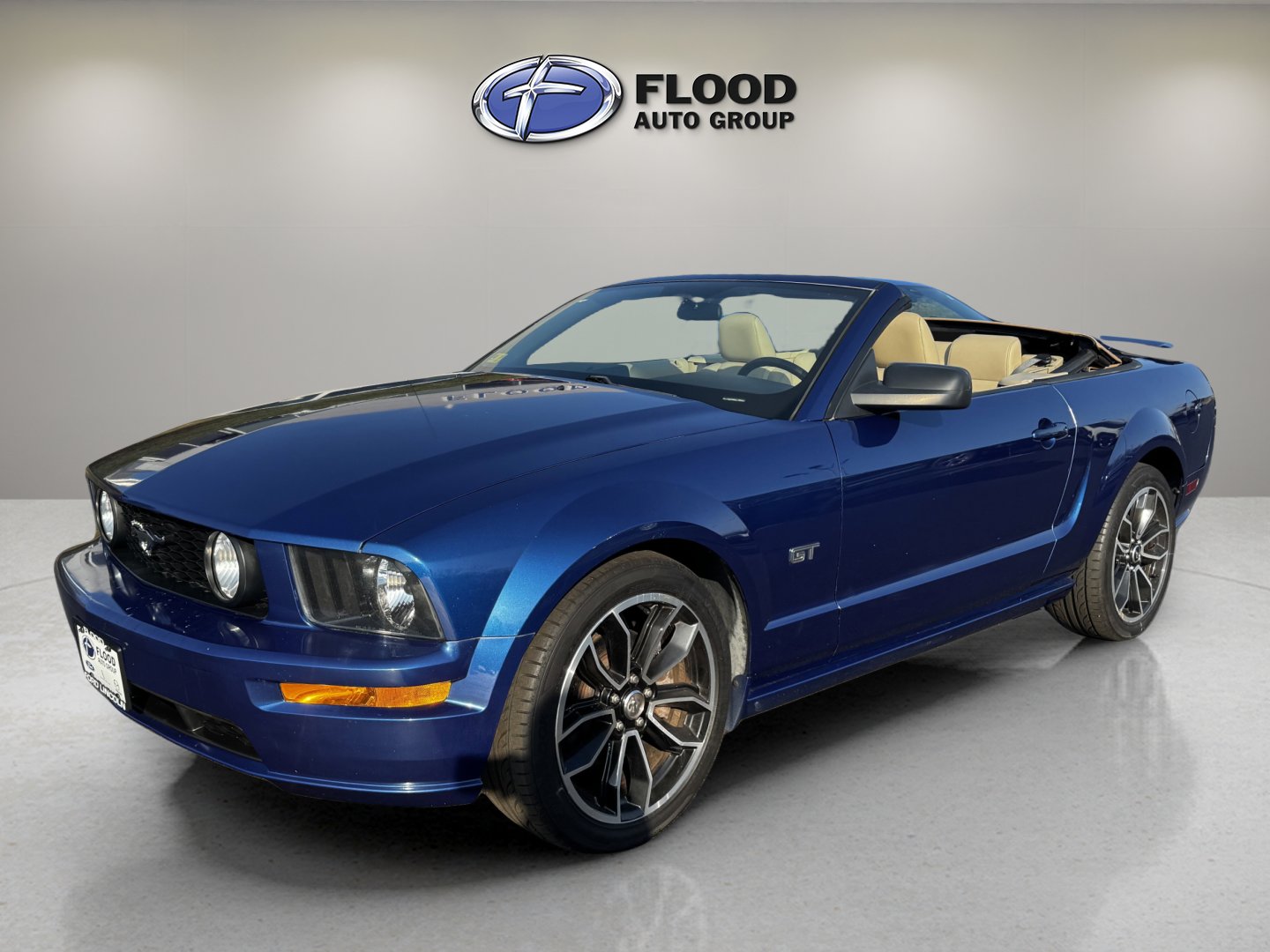 Used 2006 Ford Mustang GT Premium image 9